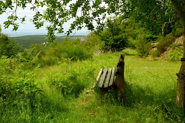 真正贴标签 真正贴标签