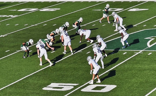 提供了可觀 提供了可觀