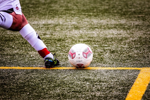 他生涯數據 他生涯數據