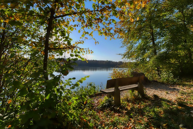 事並非孤例 事並非孤例